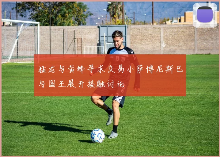 猛龙与黄蜂寻求交易小萨博尼斯已与国王展开接触讨论