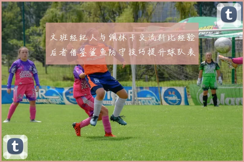 文班经纪人与佩林卡交流科比经验后者借鉴鲨鱼防守技巧提升球队表现